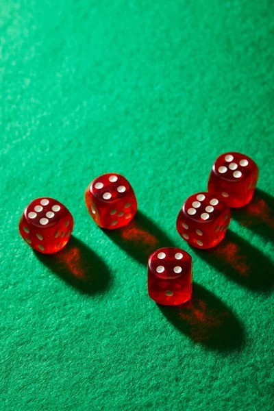 Golden Toad slot game interface on apace
